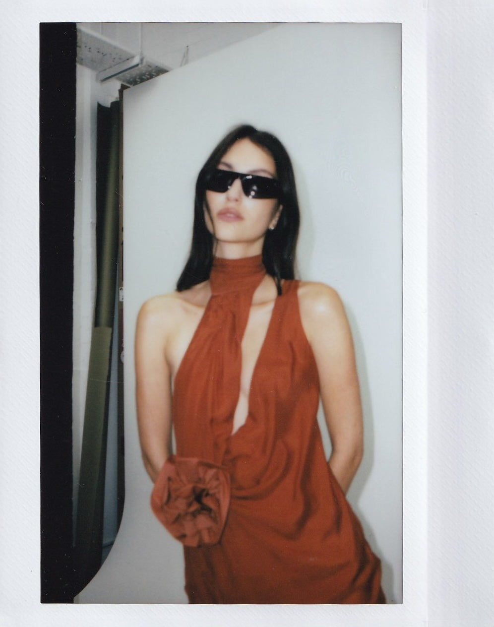 Rose Dress