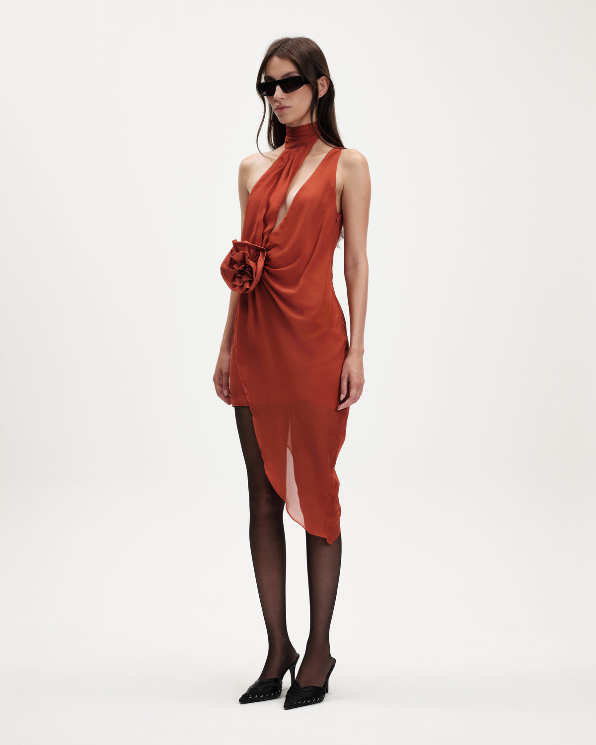 Rose Dress